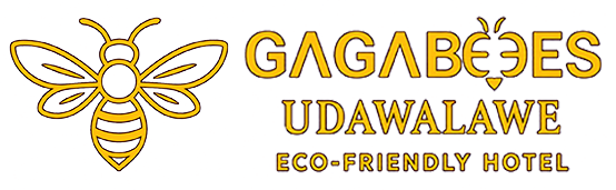 Gaga Bees Beta Test